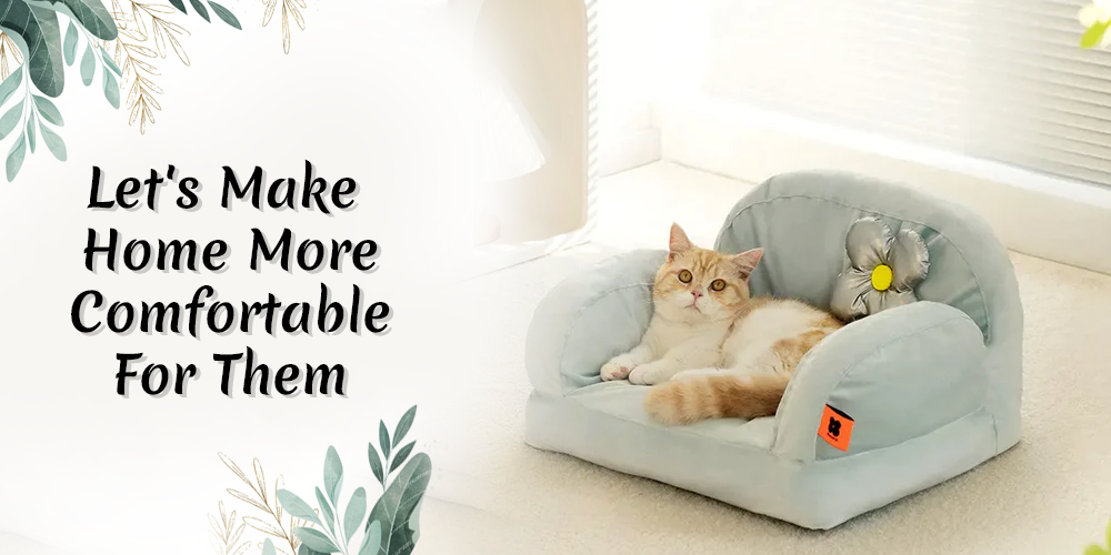 What Cat Tree Experts Don't Want You To Know