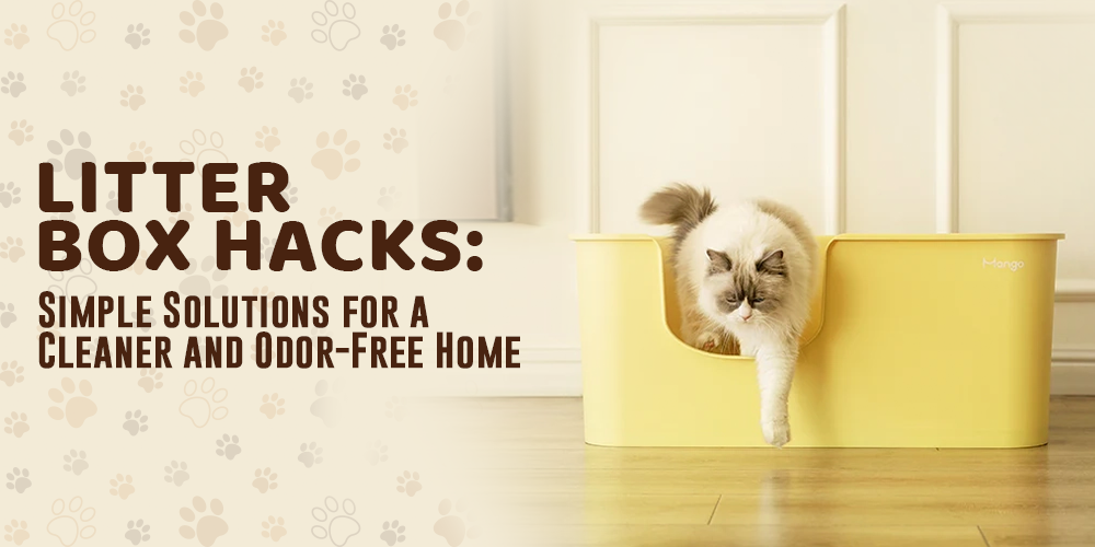 Cat box cheap odor solutions