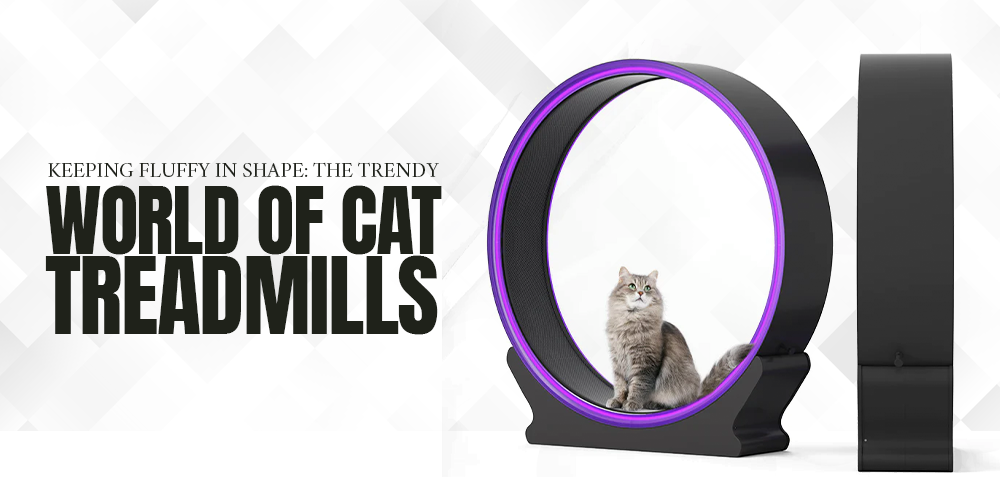 The little clearance cat treadmill