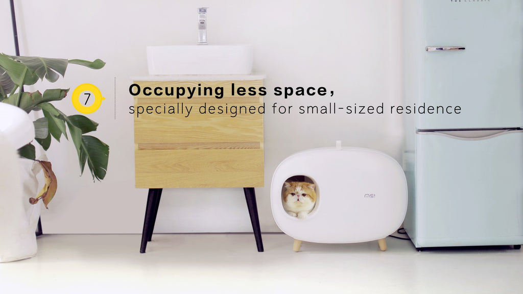 Makesure Modern Cat Litter Box And Tray