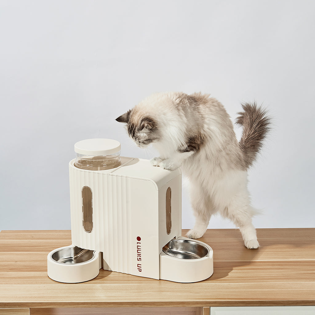 Luuks Up All-in-One Pet Water and Feeder Station