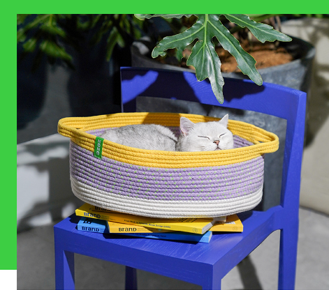 ZEZE Handwoven Cotton Rope Pet Basket Bed