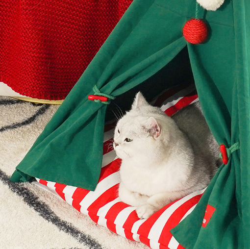 Snowy Snuggle Christmas Teepee: Pet Tent - Chrismas Edition