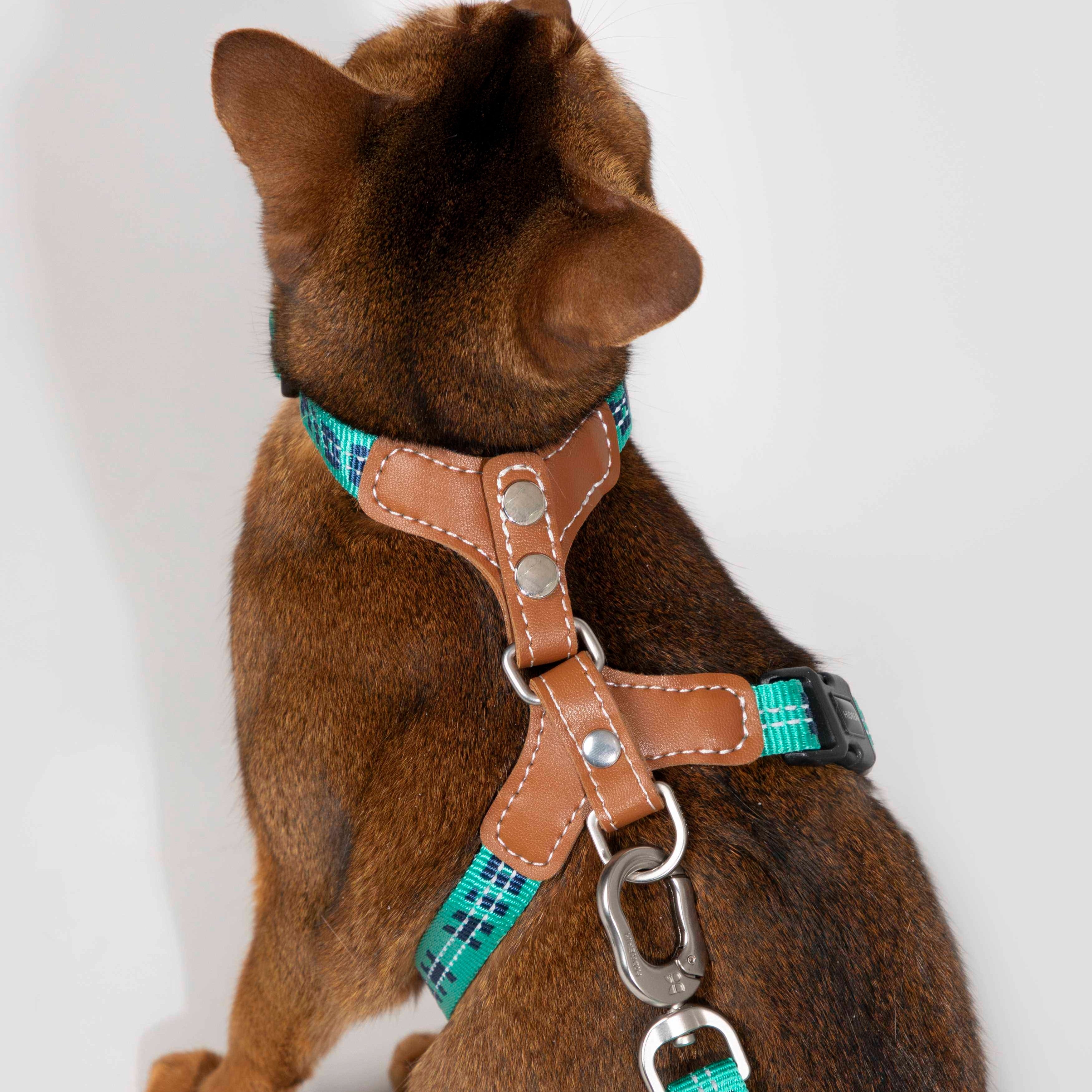 Reflective Travel Leather Cat Harness and Leash Set