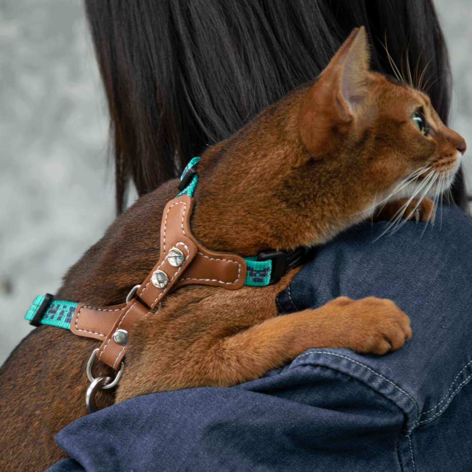 Reflective Travel Leather Cat Harness and Leash Set