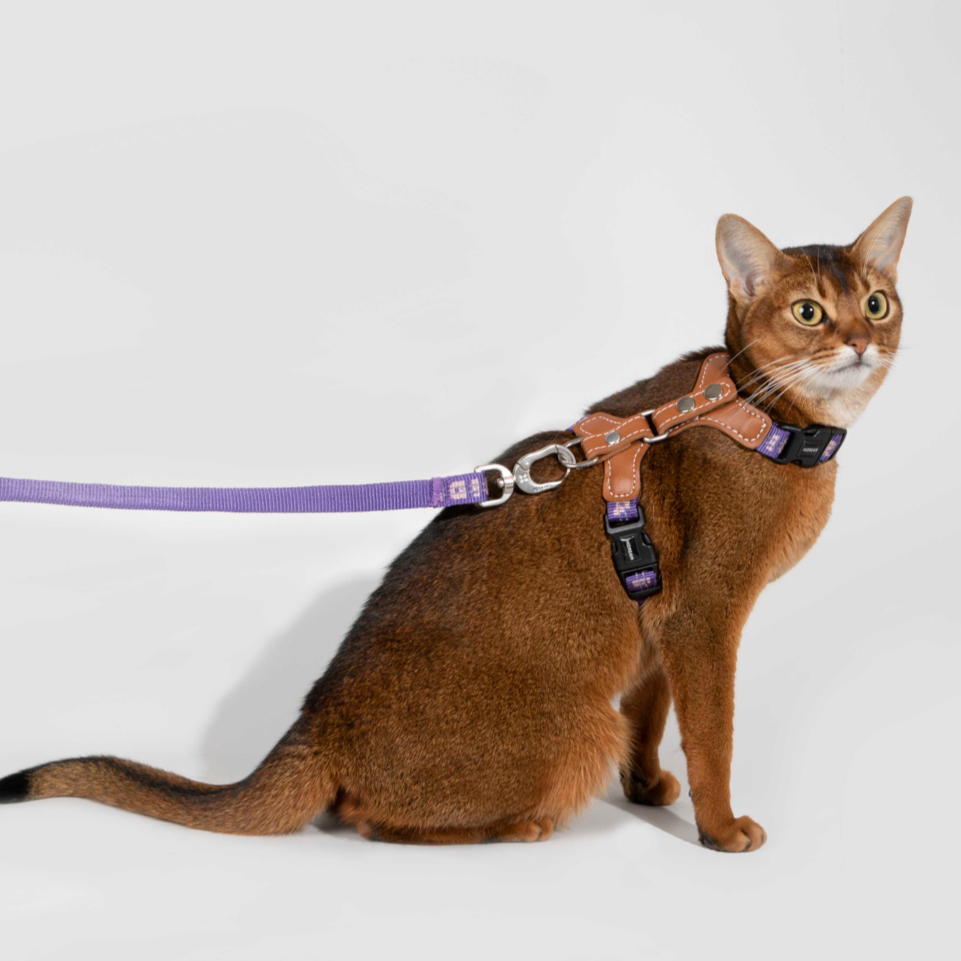 Reflective Travel Leather Cat Harness and Leash Set