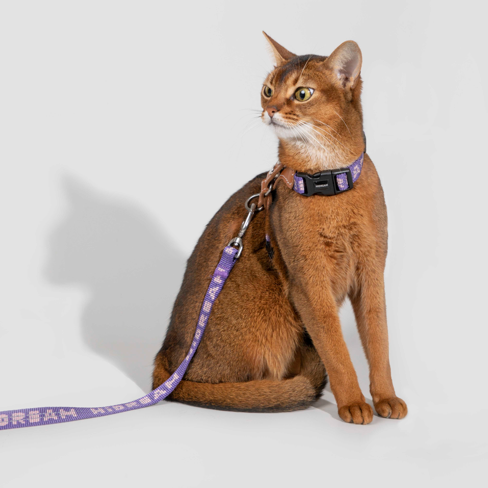 Reflective Travel Leather Cat Harness and Leash Set