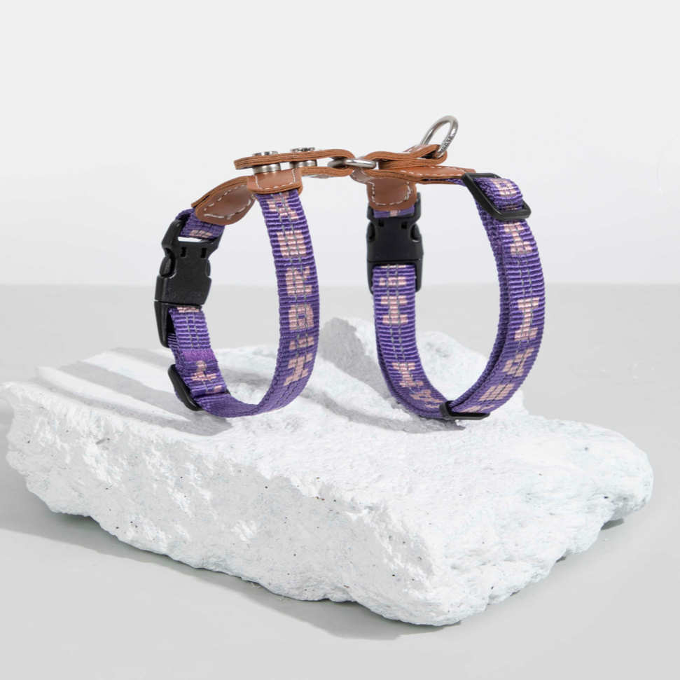 Reflective Travel Leather Cat Harness and Leash Set