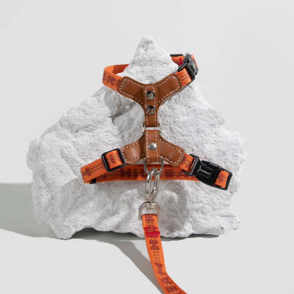 Reflective Travel Leather Cat Harness and Leash Set