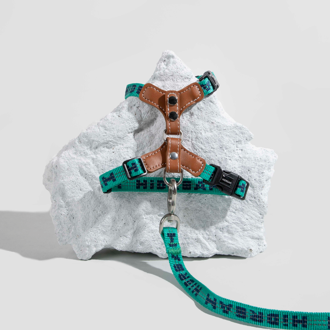 Reflective Travel Leather Cat Harness and Leash Set