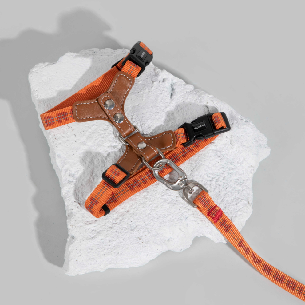 Reflective Travel Leather Cat Harness and Leash Set
