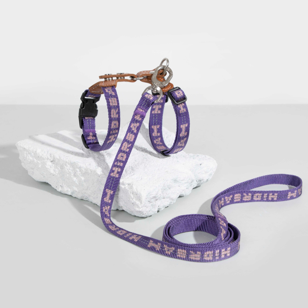 Reflective Travel Leather Cat Harness and Leash Set