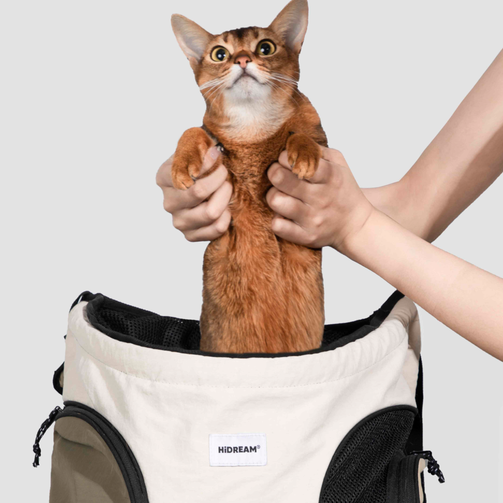Ergonomic Design Breathable Cat Travel Carrier Backpack