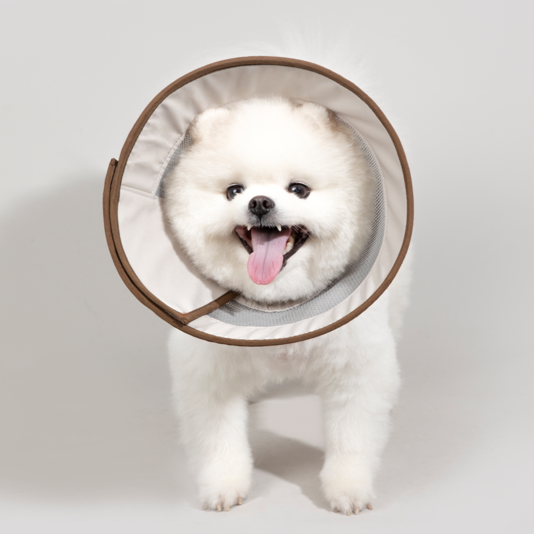 Mesh Elizabethan Healing Collar For 3-7kg Pet