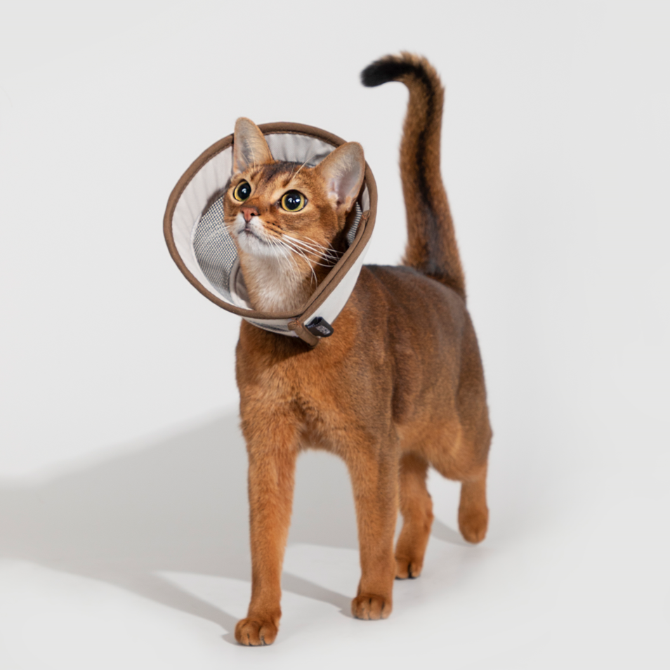 Mesh Elizabethan Healing Collar For 3-7kg Pet