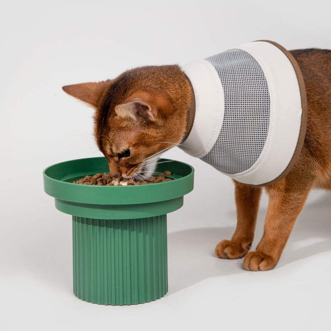 Mesh Elizabethan Healing Collar For 3-7kg Pet