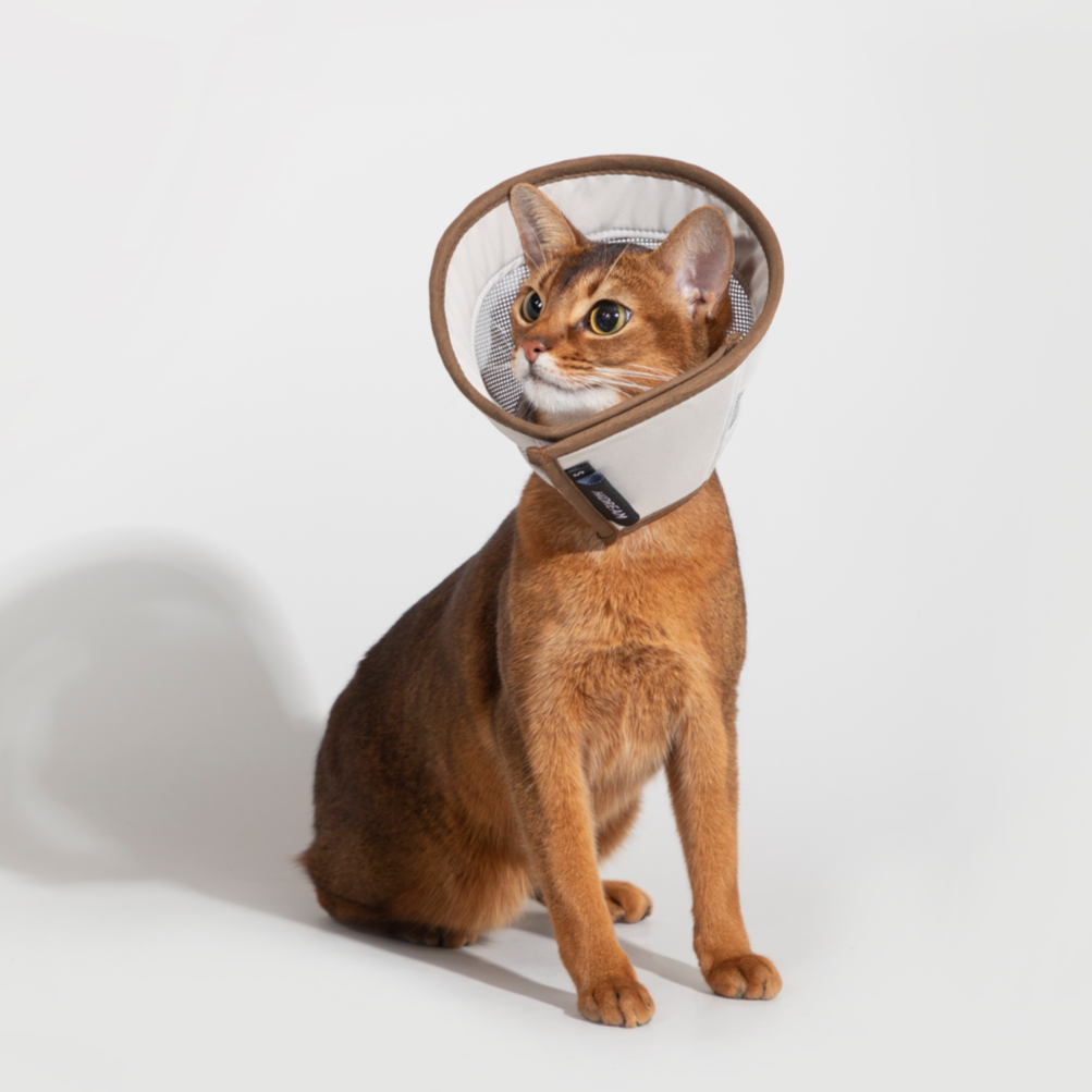 Mesh Elizabethan Healing Collar For 3-7kg Pet