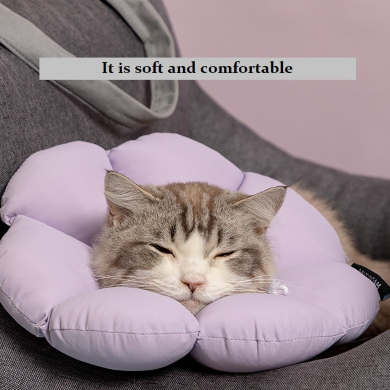 Cat Recovery Anti-Bite Elizabeth Healing Flower Collar Cone