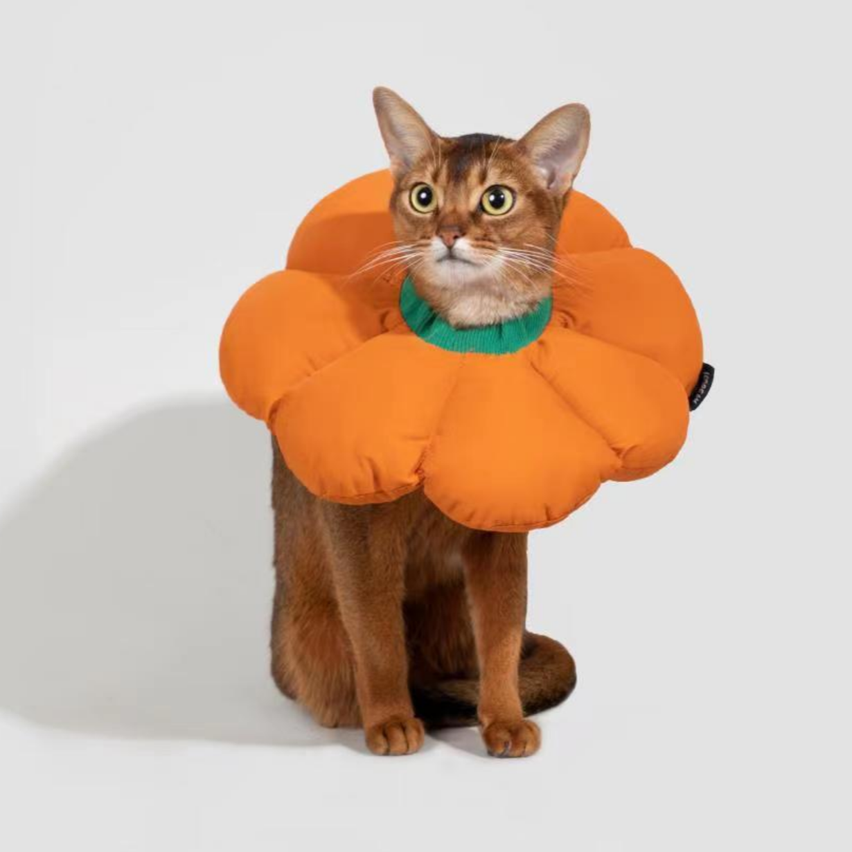 Cat Recovery Anti-Bite Elizabeth Healing Flower Collar Cone