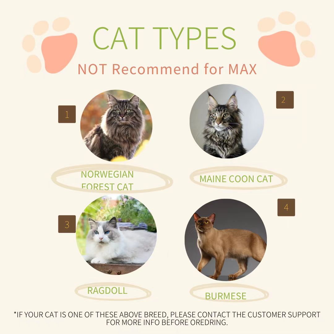 Makesure Modern Cat Litter Box And Tray