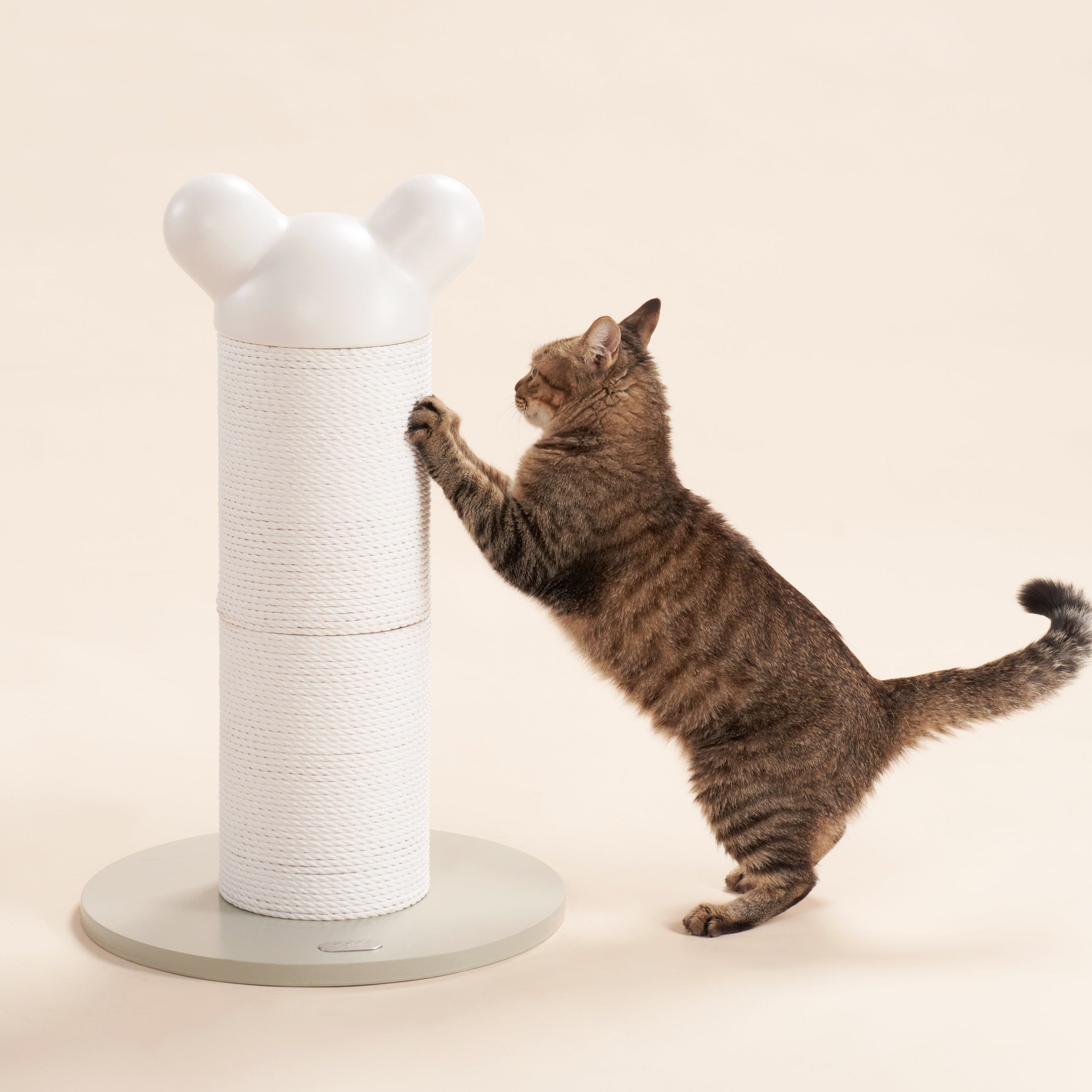 Makesure Detachable Cactus Tall Cat Tree Scratcher Post