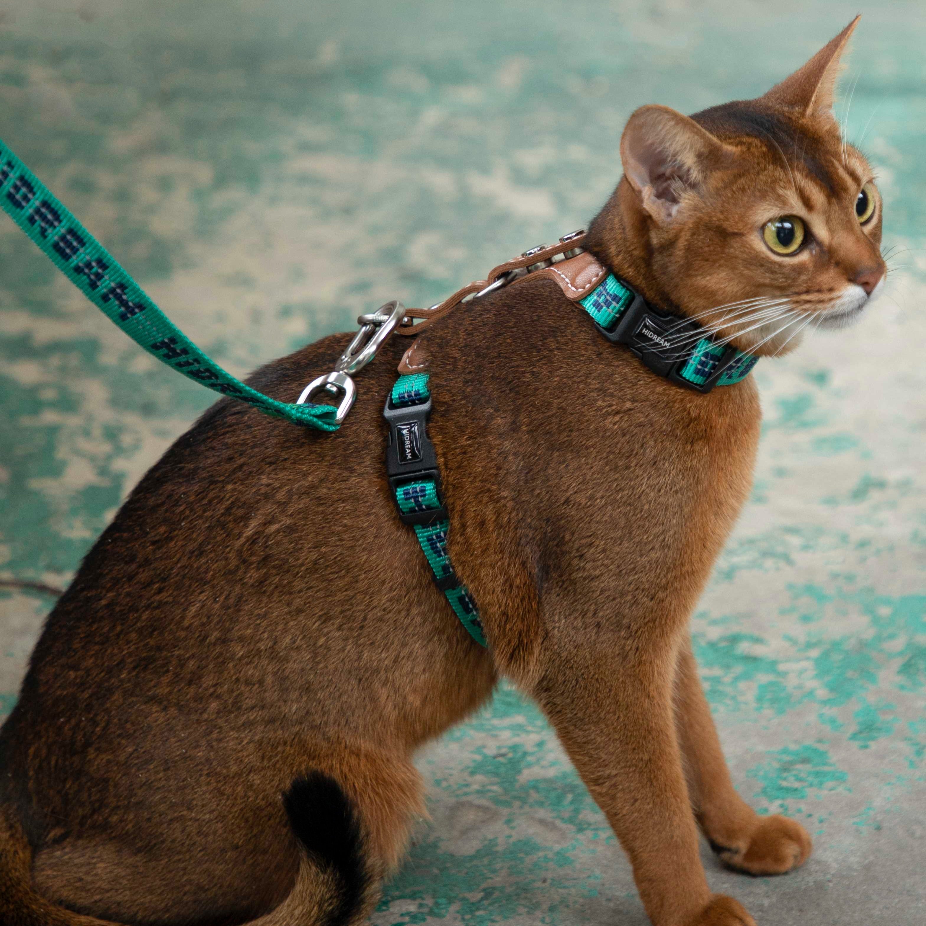 Reflective Travel Leather Cat Harness and Leash Set