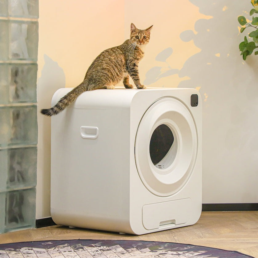 Runesay Self-Cleaning Cat Litter Box Multiple Cats Scooping