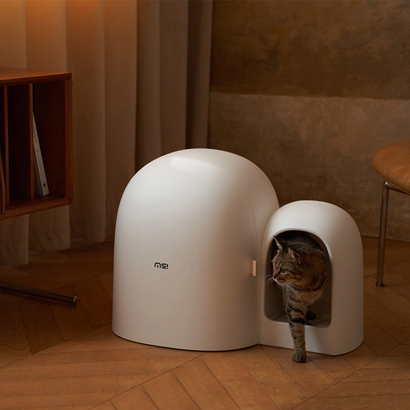 Makesure Large Modern Cat Litter Box Max