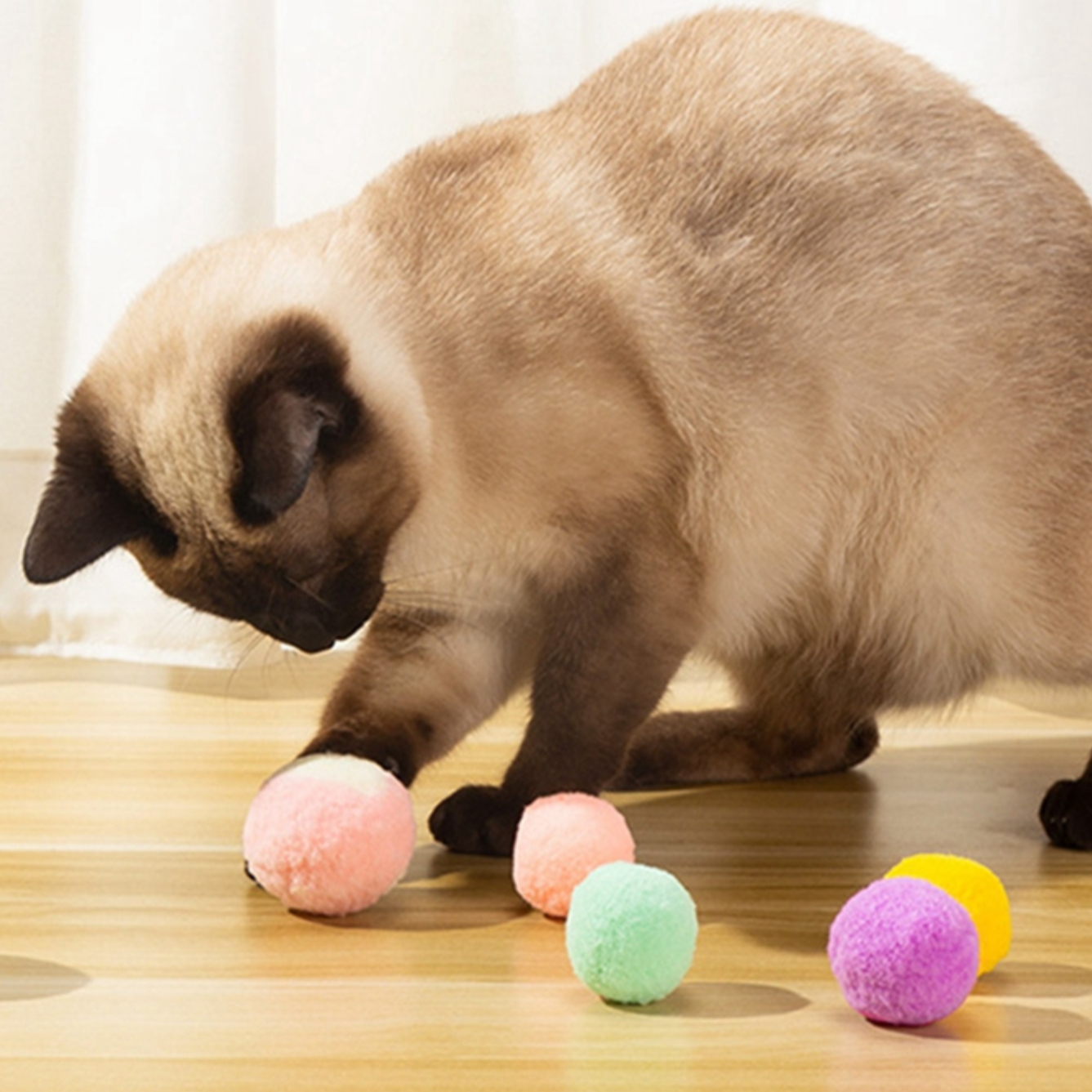 Siamese store cat balls