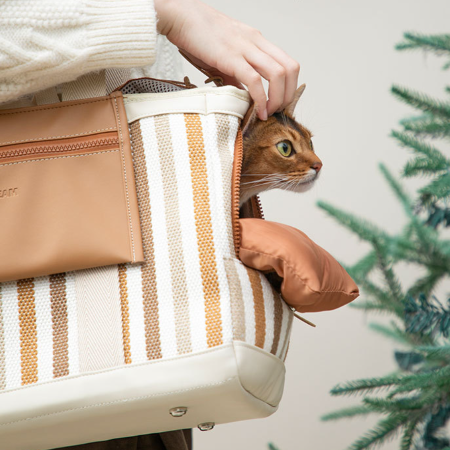 Modern Pet Breathable Travel Carrier Bag