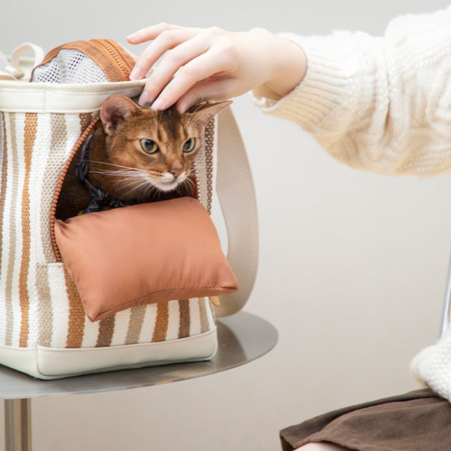 Modern Pet Breathable Travel Carrier Bag