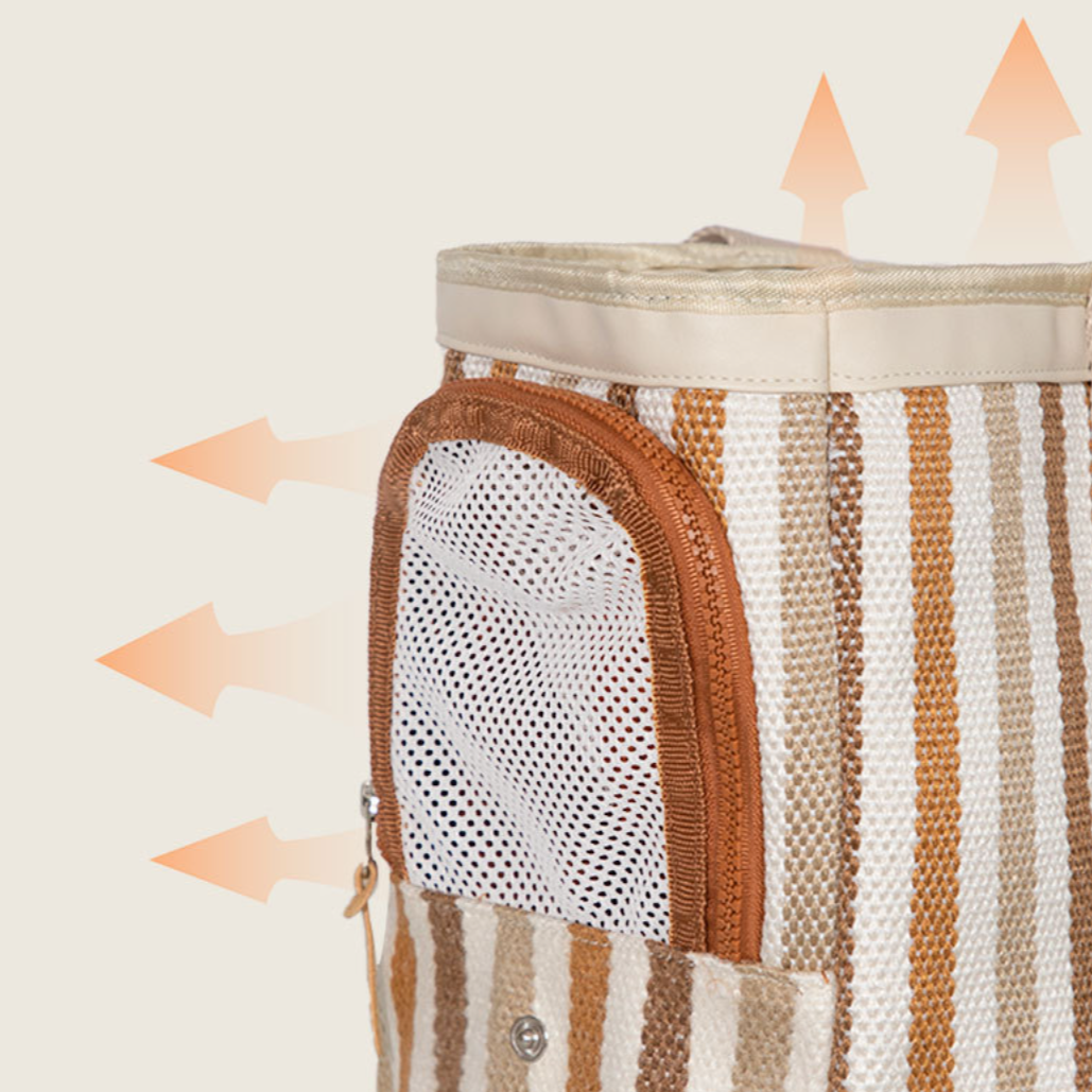 Modern Pet Breathable Travel Carrier Bag