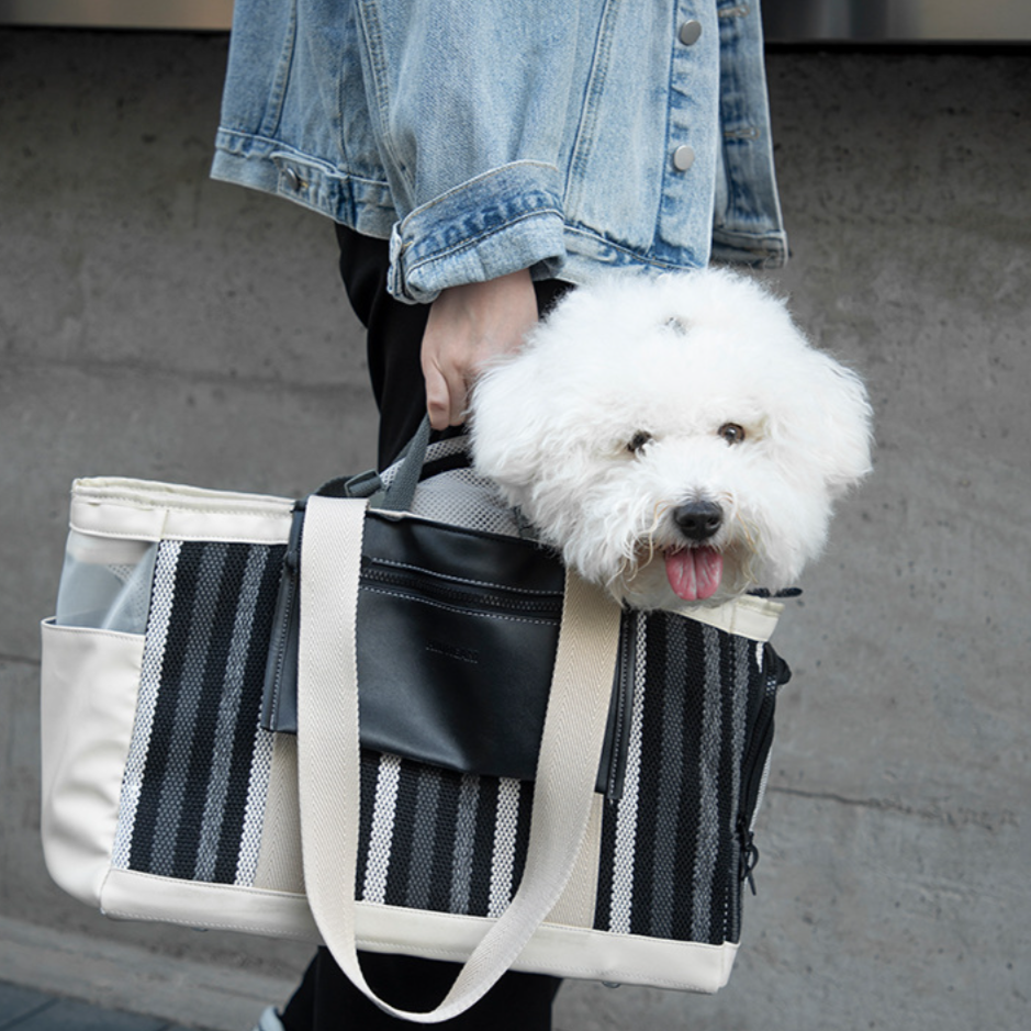 Modern Pet Breathable Travel Carrier Bag