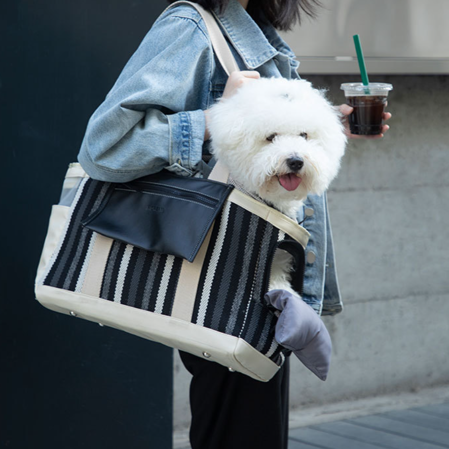 Modern Pet Breathable Travel Carrier Bag