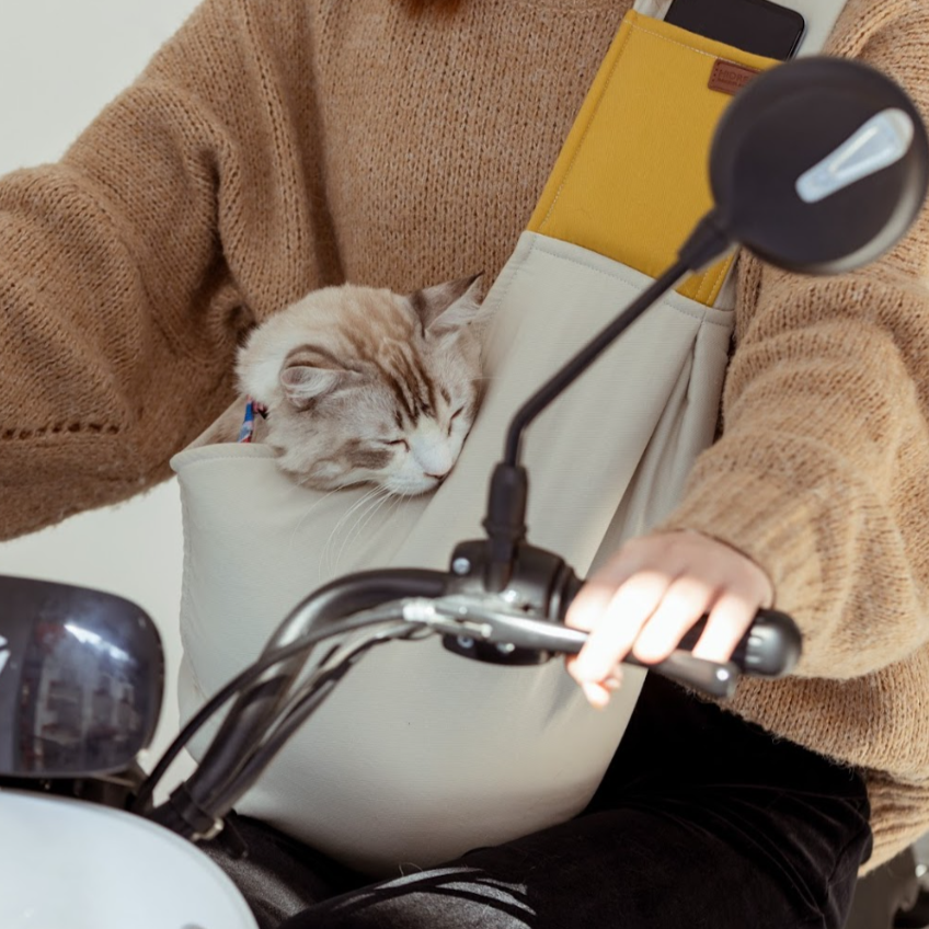 Adjustable Shoulder Strap Pet Travel Carrier Sling Bag