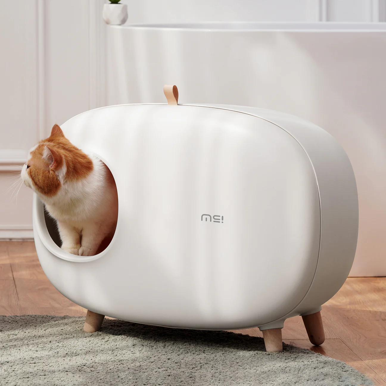 Makesure Modern Cat Litter Box And Tray