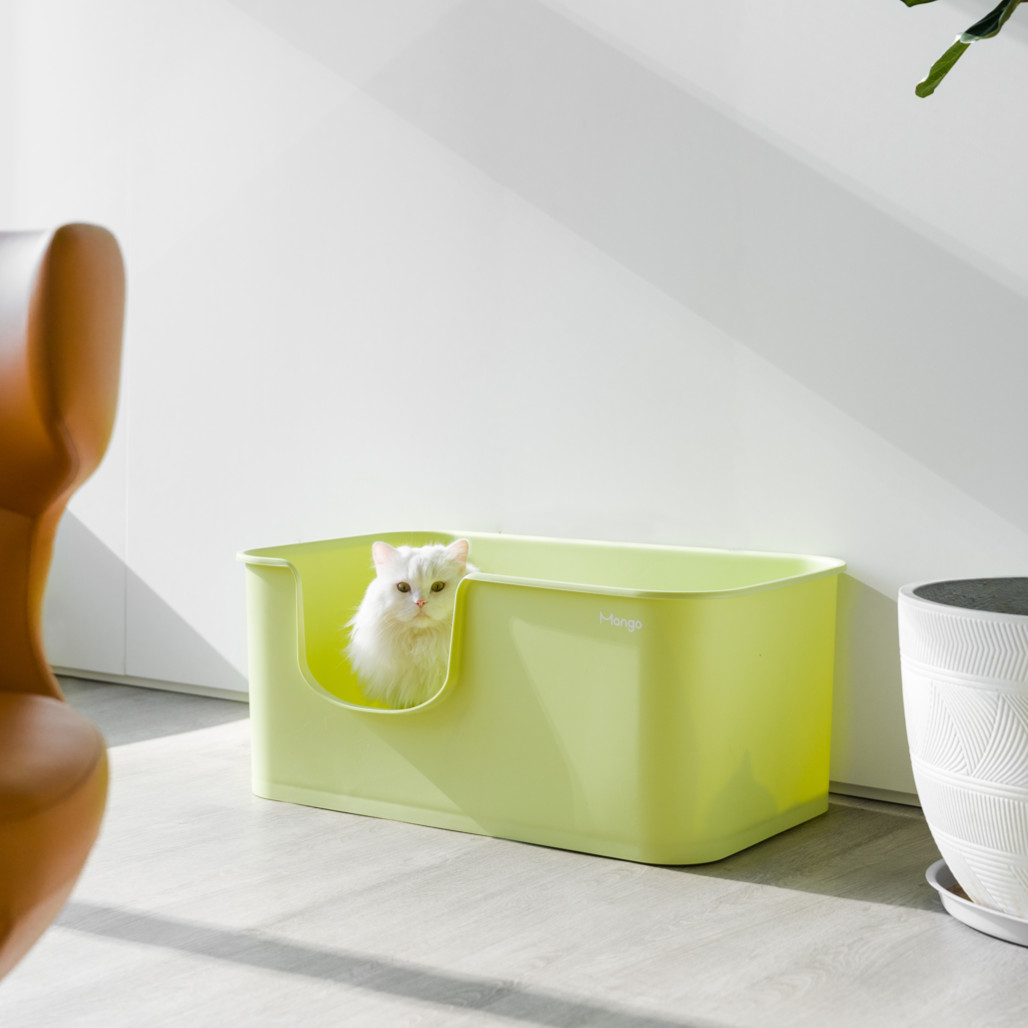 MANGO Open Oversized Splash-Proof Giant Cat Litter Box