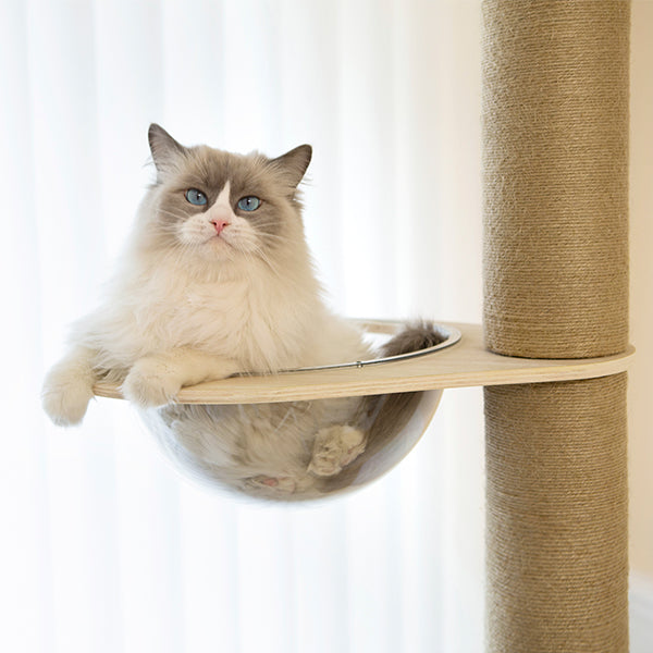 SupermarCat Floor to Ceiling Climbing Cat Tree - Premium