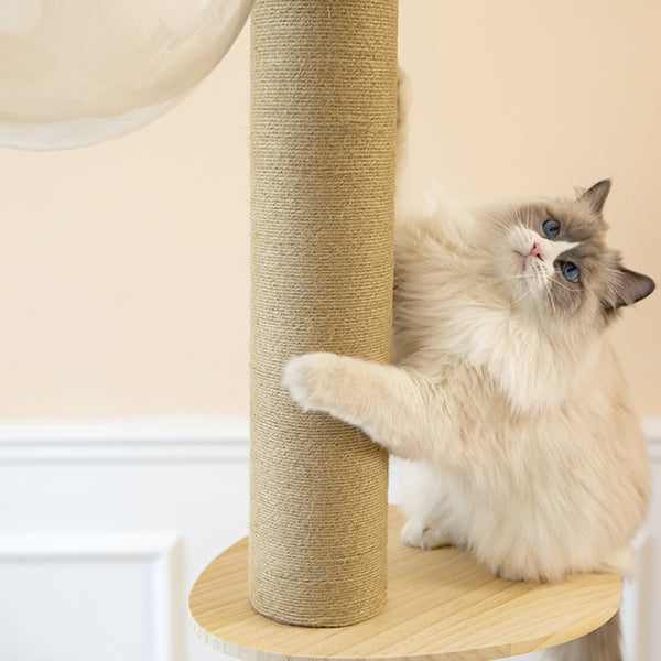SupermarCat Floor to Ceiling Climbing Cat Tree - Premium