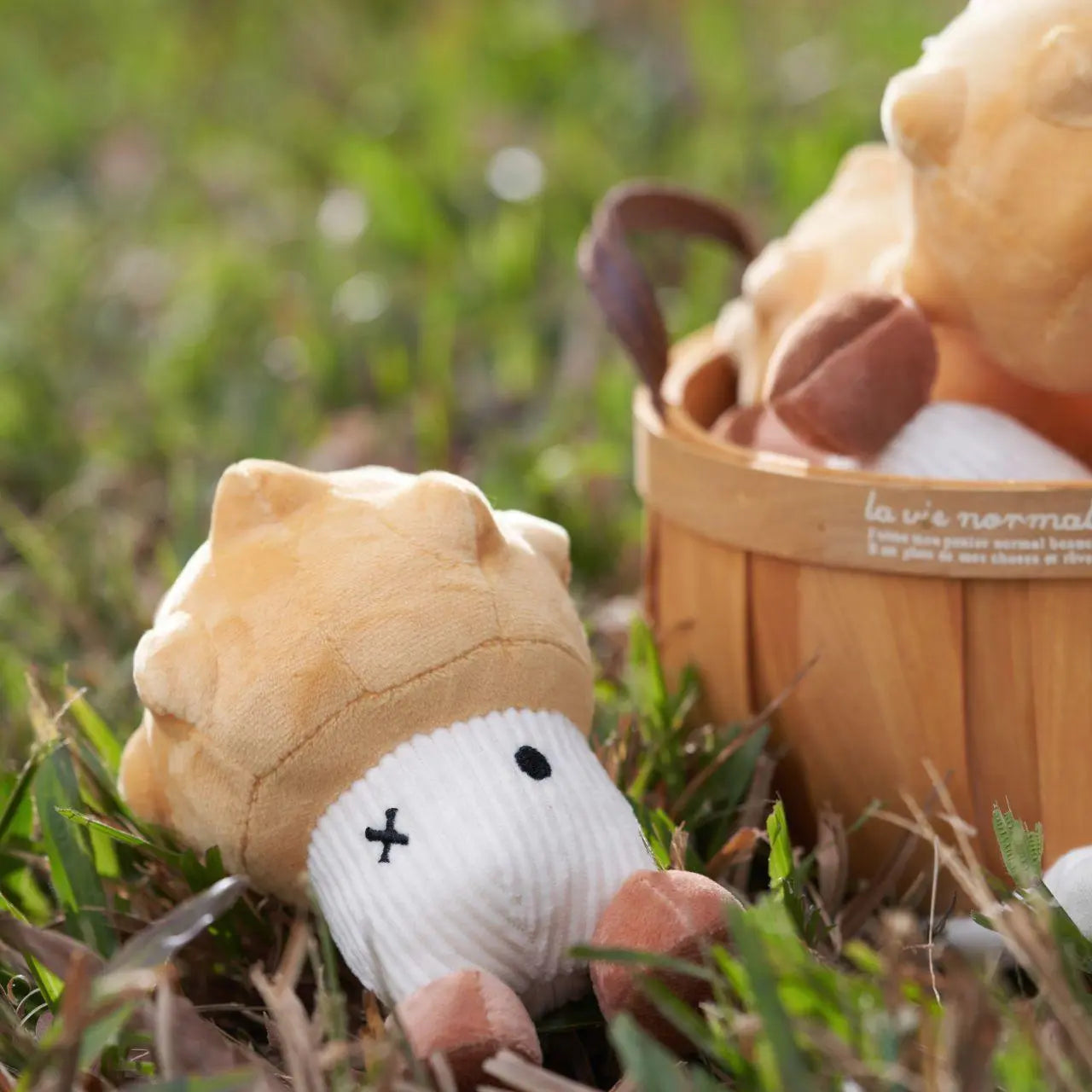 Interactive Catnip Soft Cat Toy Durian Makesure