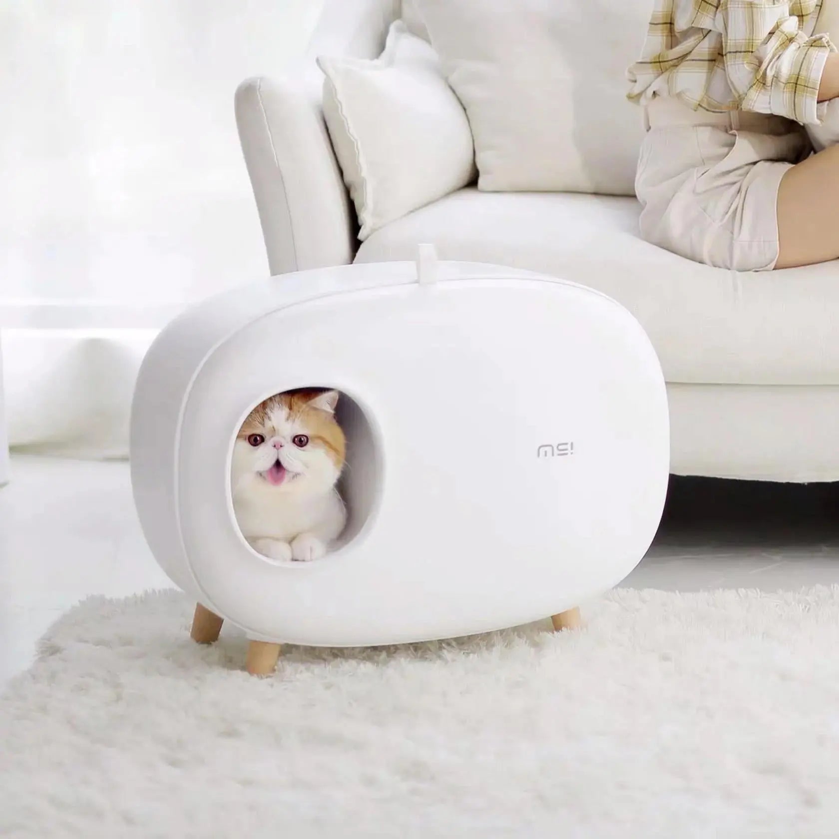 Makesure Modern Cat Litter Box And Tray Makesure