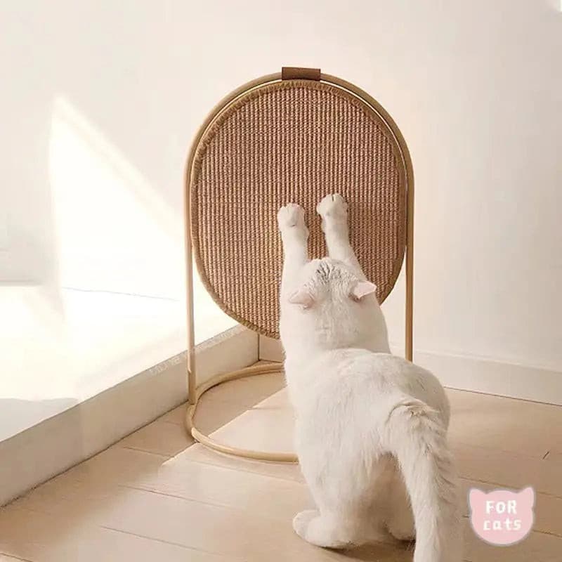 Makesure Multi-functional Soda Cat Scraching Post Makesure