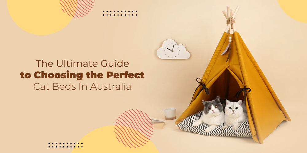 The Ultimate Guide to Choosing the Perfect Cat Beds In Australia