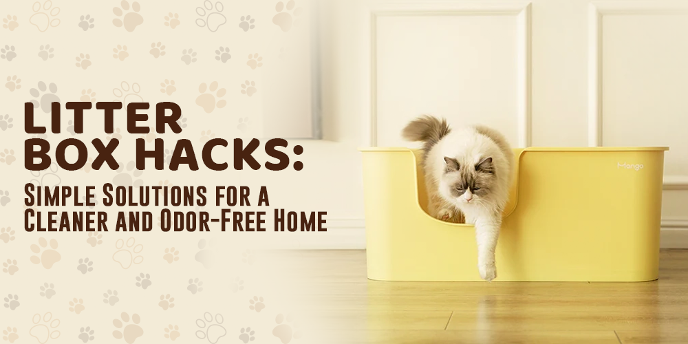 Litter Box Hacks: Simple Solutions for a Cleaner and Odor-Free Home