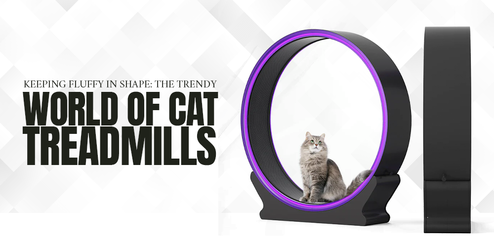 Keeping Fluffy in Shape: The Trendy World of Cat Treadmills