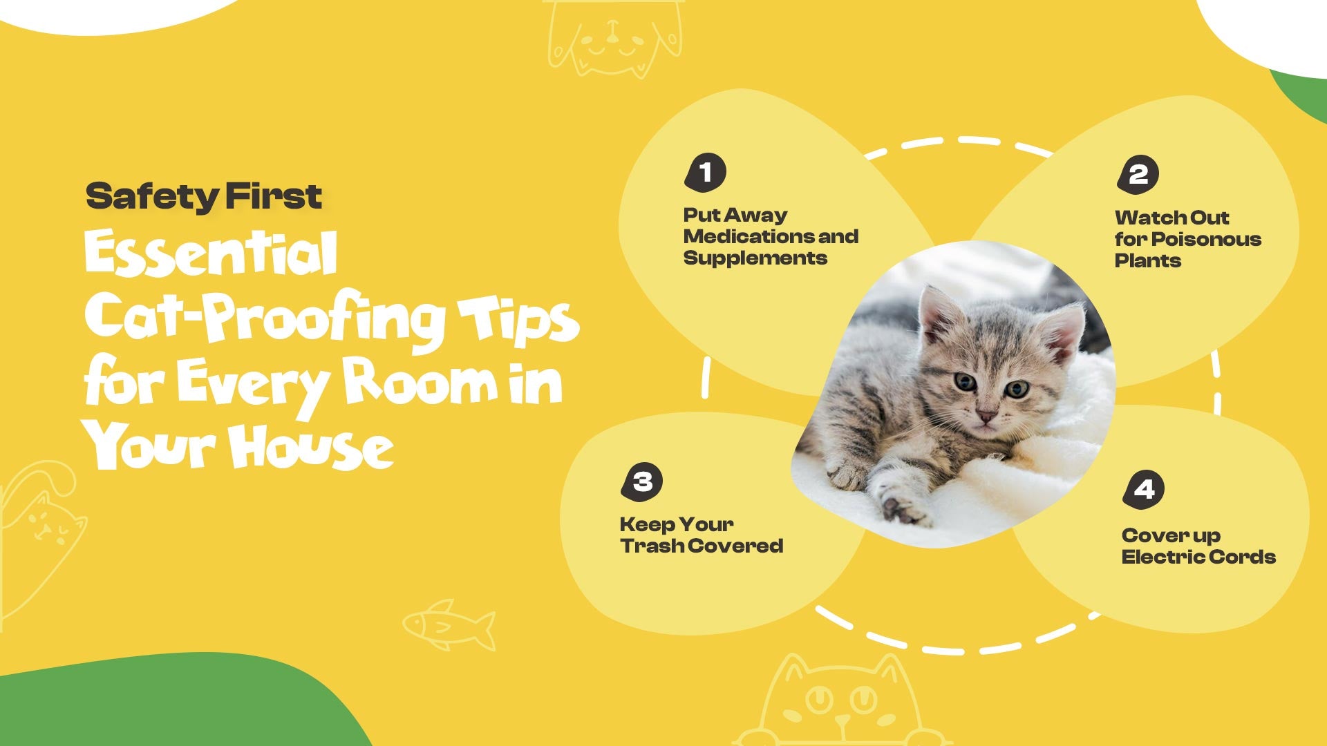 Safety First: Essential Cat-Proofing Tips for Every Room in Your House