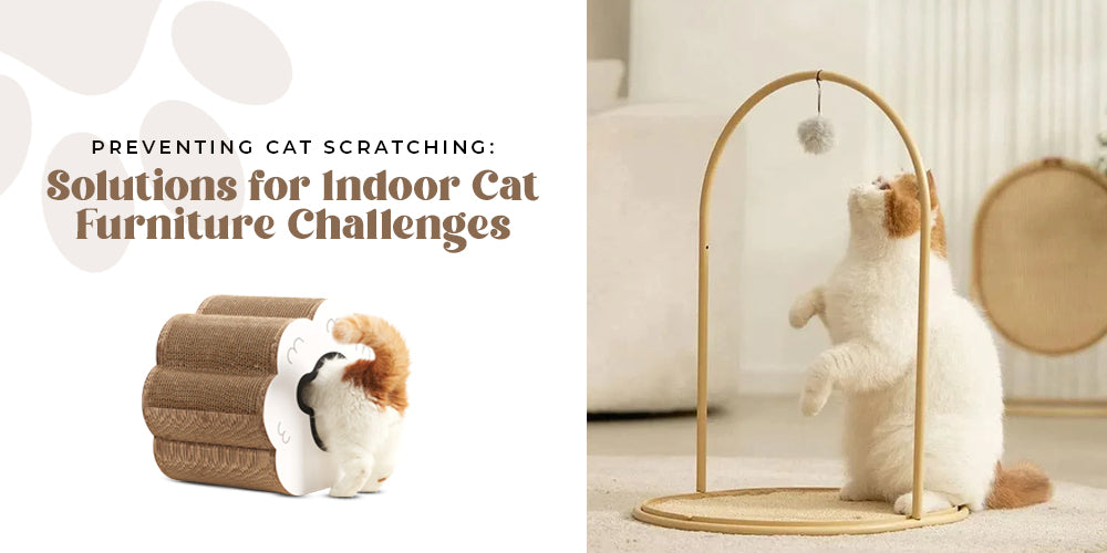 Preventing Cat Scratching: Solutions for Indoor Cat Furniture Challenges