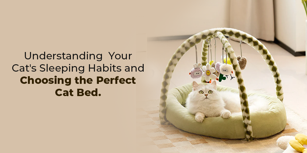 Understanding Your Cat's Sleeping Habits and Choosing the Perfect Cat Bed.