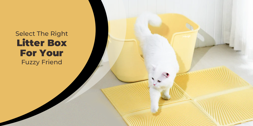 The Pros and Cons of Different Types of Cat Litter Boxes