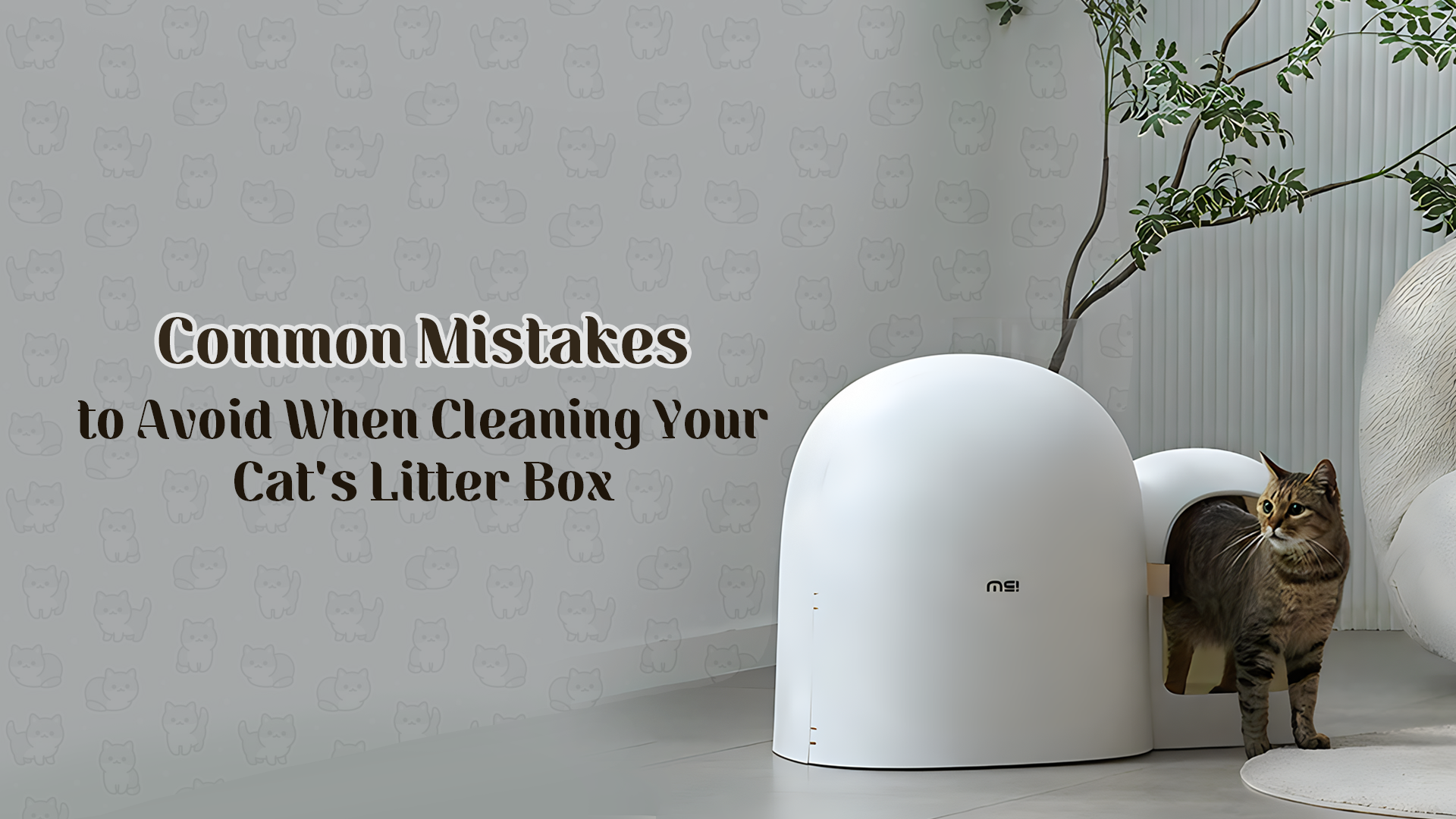 Common Mistakes to Avoid When Cleaning Your Cat's Litter Box